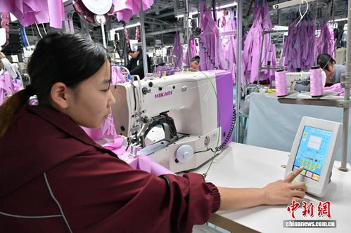 節(jié)后趕工忙，輔料制造助商丘服裝產(chǎn)業(yè)煥新顏