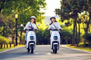 4月15日后電動(dòng)車、三輪車上牌指南 你最關(guān)心的問題都在這